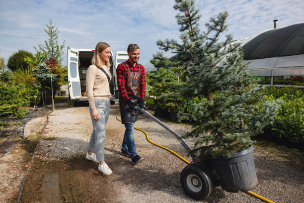 Best Tree Trimming and Pruning  in Eagle Lake, FL