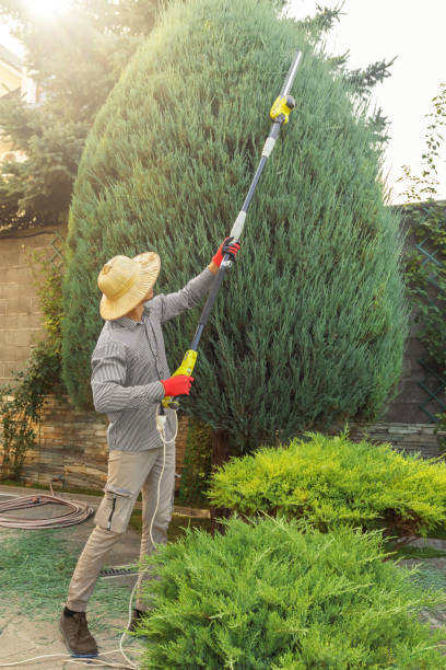 Best Pest Control for Lawns  in Eagle Lake, FL